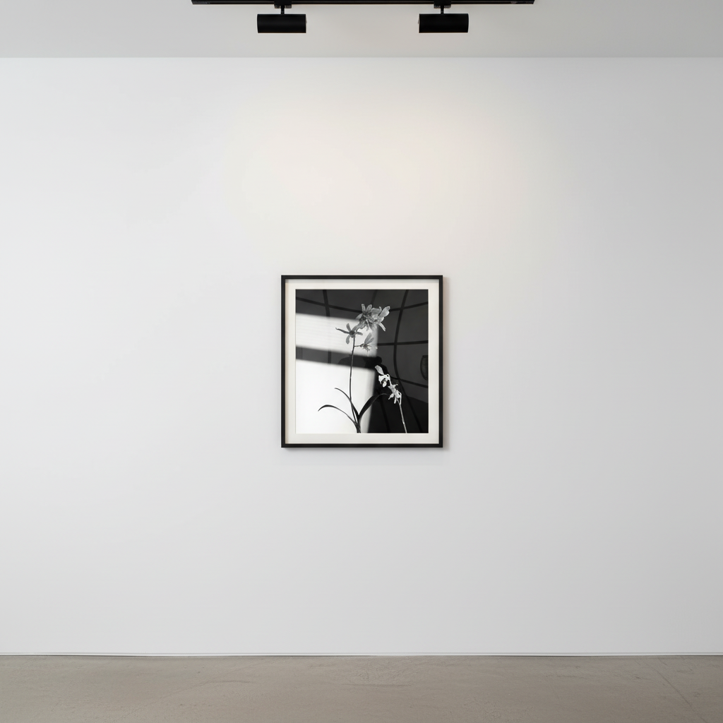 The Enduring Legacy of Robert Mapplethorpe