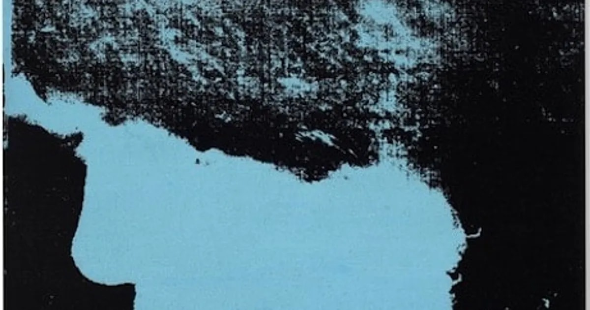 Andy Warhol Death And Distance