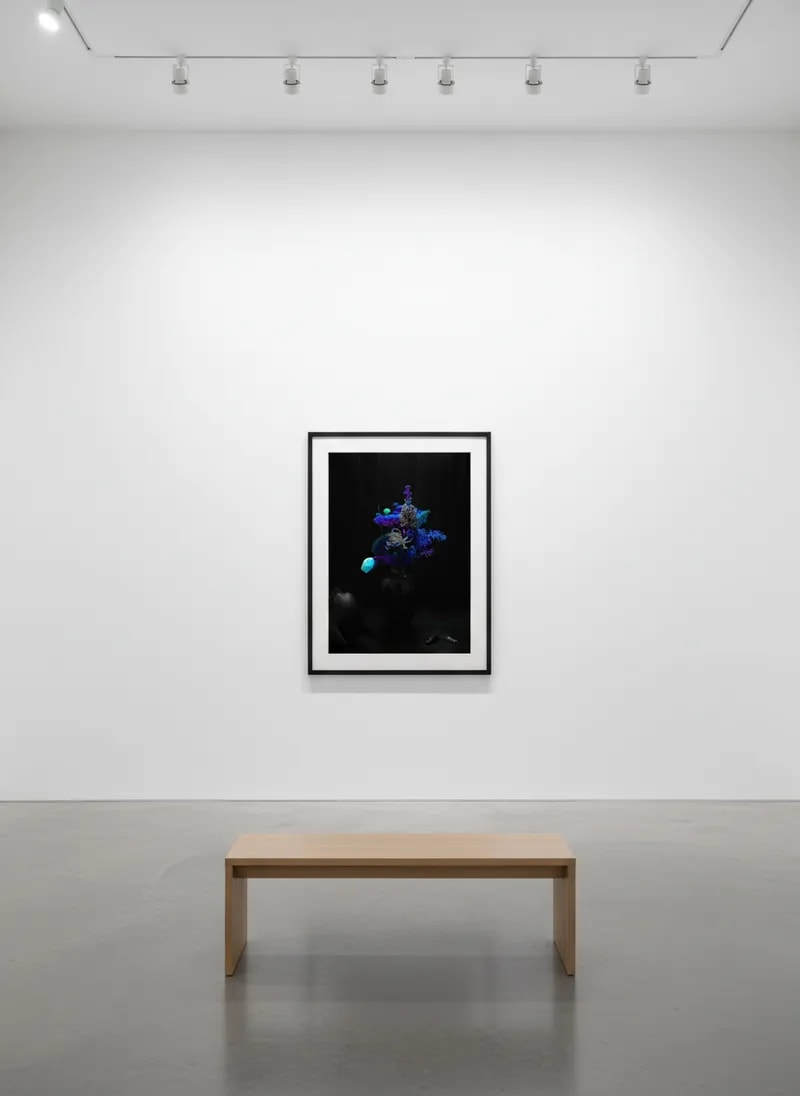 Sebastian Magnani: Coming Home