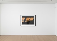 Ed Ruscha - YES TREE