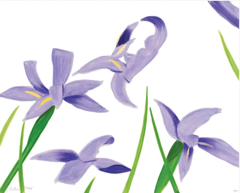Alex Katz - Purple Irises on White, 2023, Archival pigment ink print, on Innova Etching Cotton Rag 315 gsm