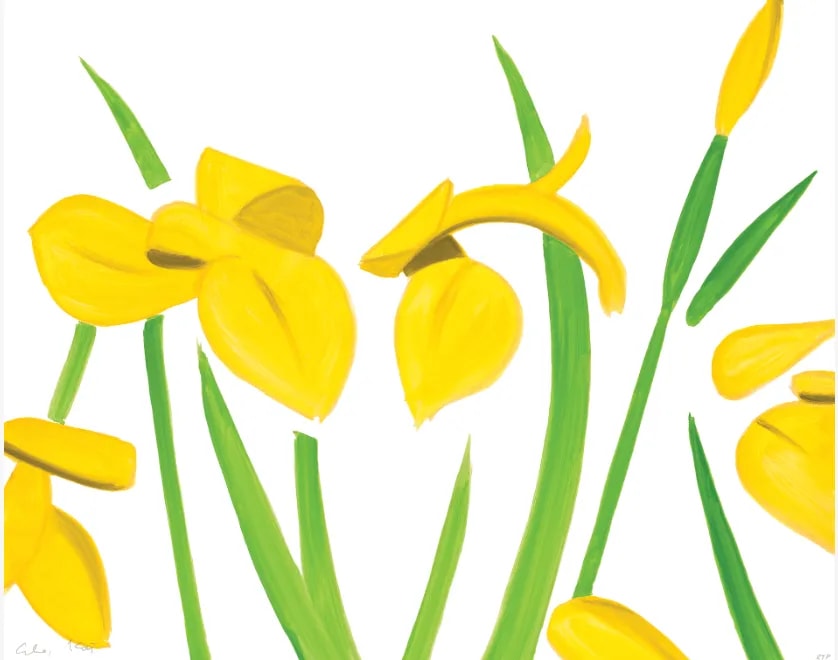 Alex Katz - Yellow Flags on White, 2023, Archival pigment ink print, on Innova Etching Cotton Rag 315 gsm