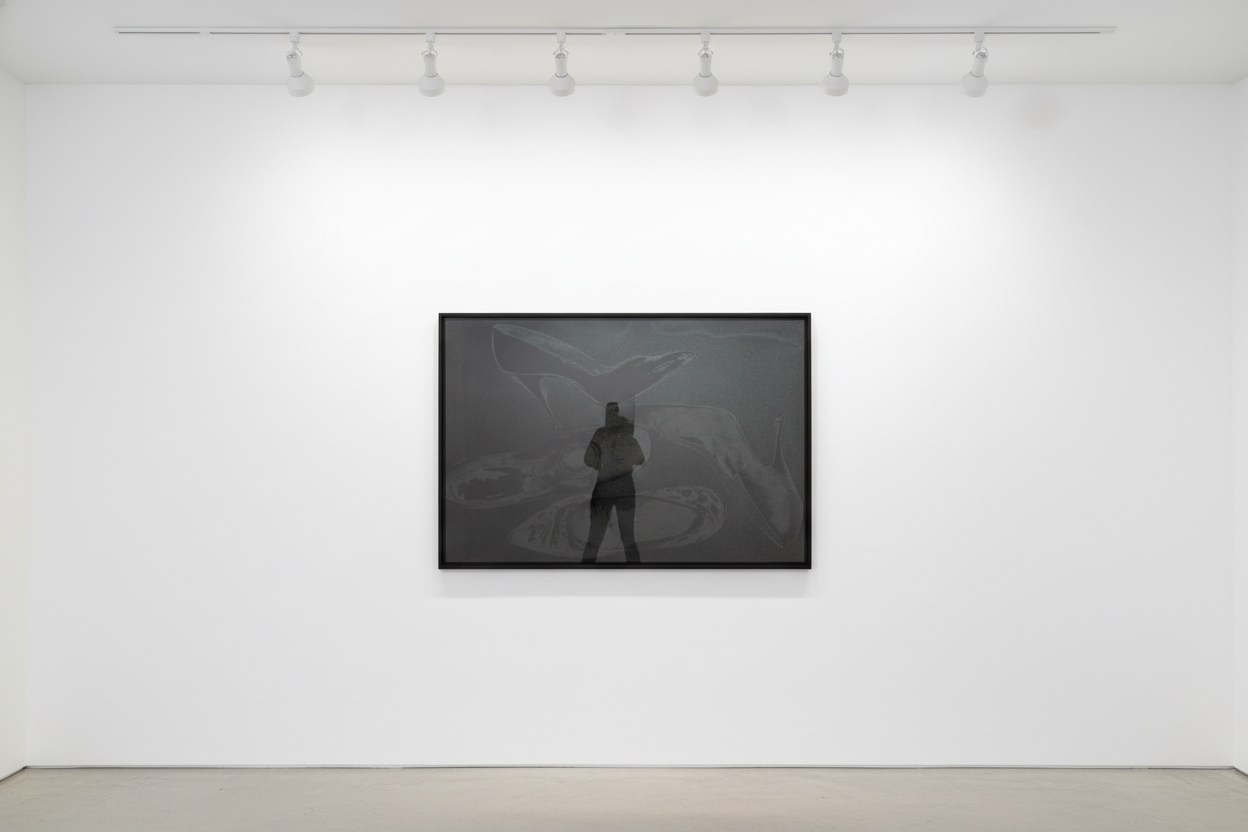 Andy Warhol - Diamond Dust Shoes  Complete Portfolio (F.S. II 248 - 252), (Deluxe Edition), 1980, Portfolio of 5 screen pr...