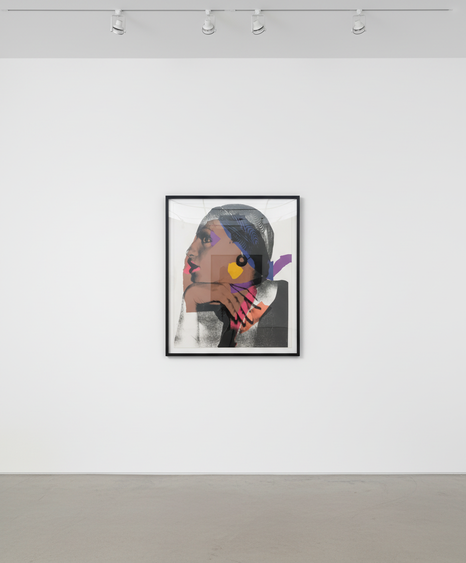 Andy Warhol - Ladies and Gentlemen F.S. II 136, 1975, Screen print