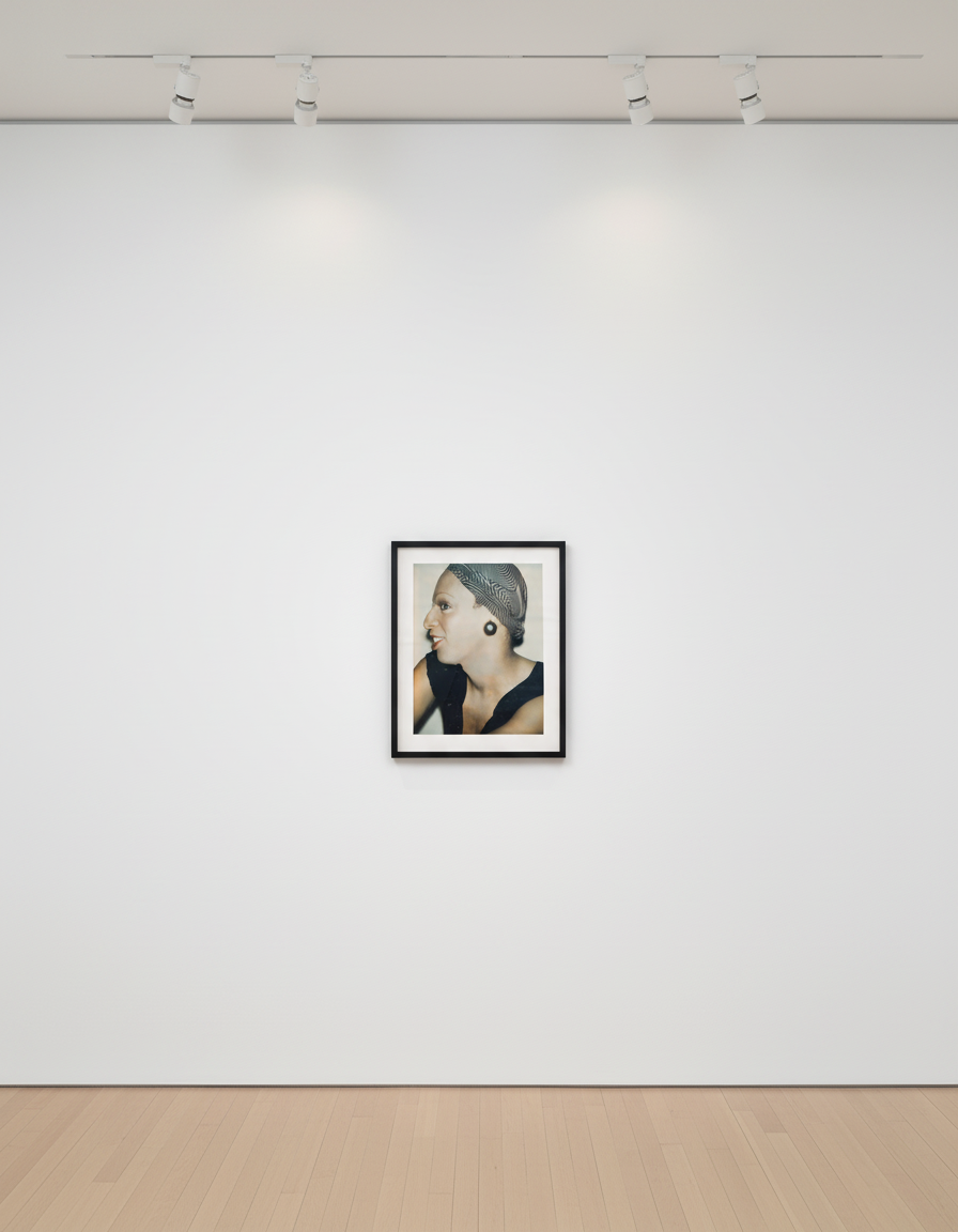 Andy Warhol - Ladies and Gentlemen (Wilhelmina Ross), 1974, Polaroid photograph