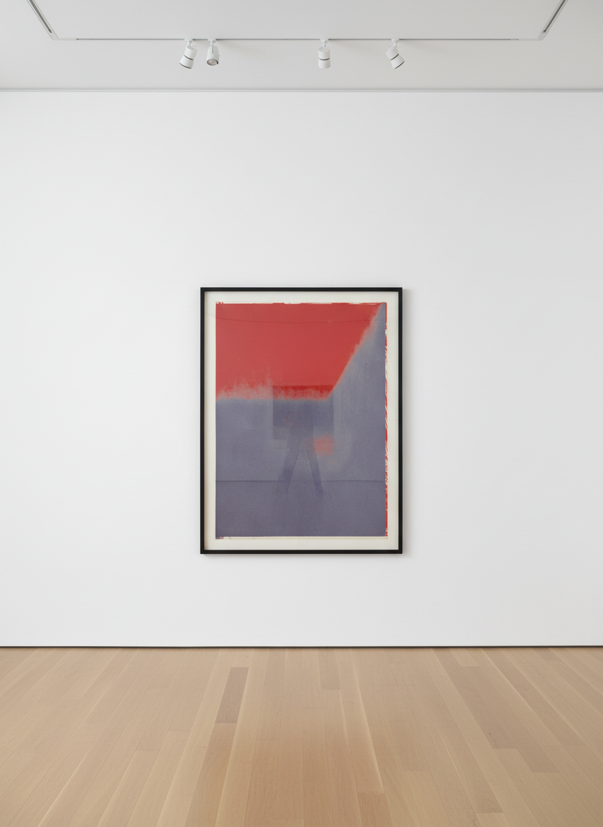 Andy Warhol - Shadows I F.S. II 208, 1979, Screen print in a unique color combination with diamond dust on Arches 88 wove ...