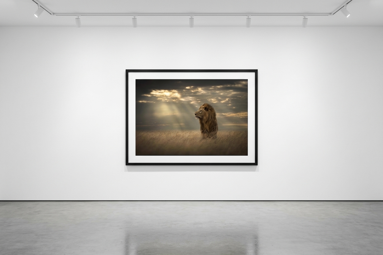 Björn persson - Lord of the Land, Pigment Print