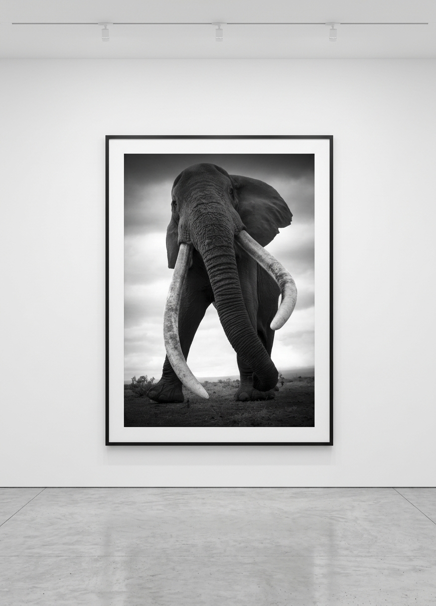 Björn persson - The Last Tuckers, Pigment Print