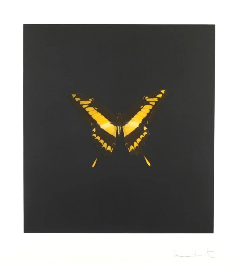 Damien Hirst - The Souls on Jacob's Ladder Take Their Flight (Small Yellow / Black Butterfly), 2007, Hand-inked photogravu...