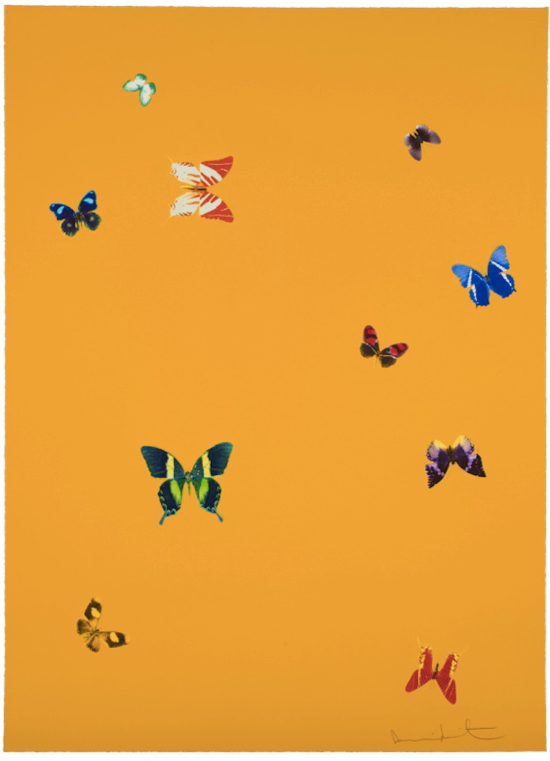 Damien Hirst - The Wonder Of You (Your Beauty), 2015, Polymer-gravure etching with lithographic overlay