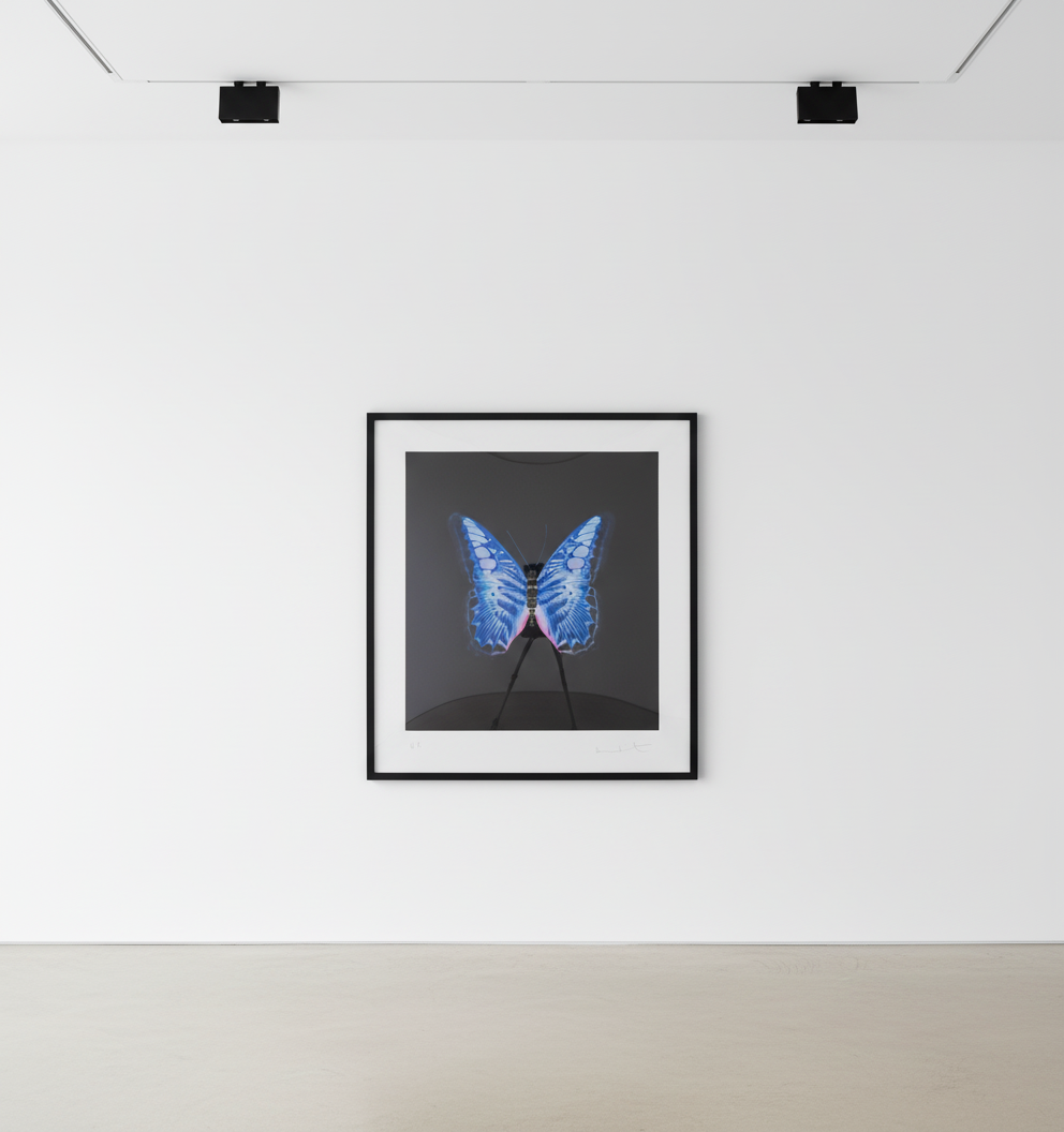 Damien Hirst - UP from The Souls on Jacob's Ladder Take Their Flight, 2007/2016, Photogravure etching