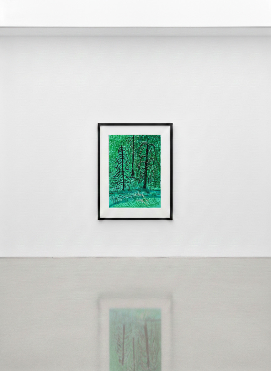 David Hockney - The Yosemite Suite No. 16, 2010, Ipad drawing on paper