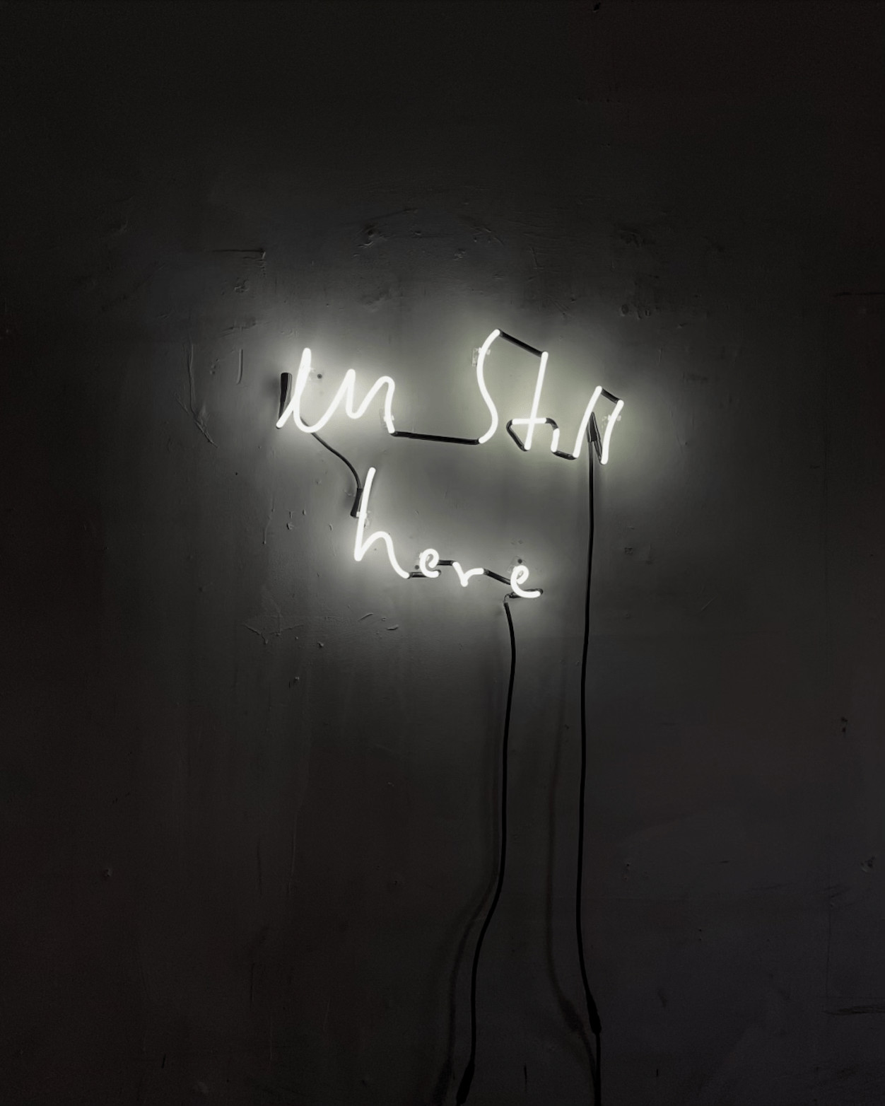 Eric Stefanski - I'm Still Here, 2024, Neon installation