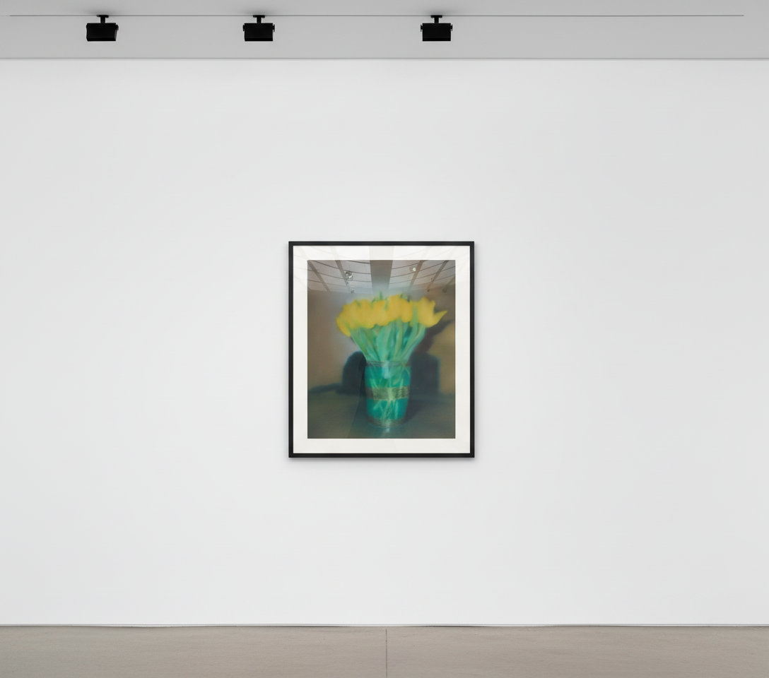 Gerhard Richter - Tulpen P17, 2017, Diasec-mounted chromogenic print mounted on aluminum