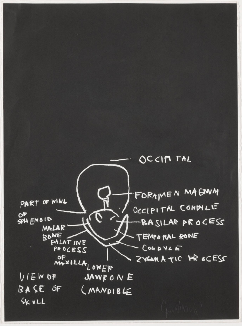 Jean-Michel Basquiat - View of Base of Skull, from Anatomy, 1982, Screen print