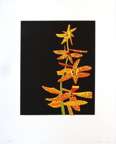 Jonas Wood - Untitled (Orchid II), 2015, Silkscreen