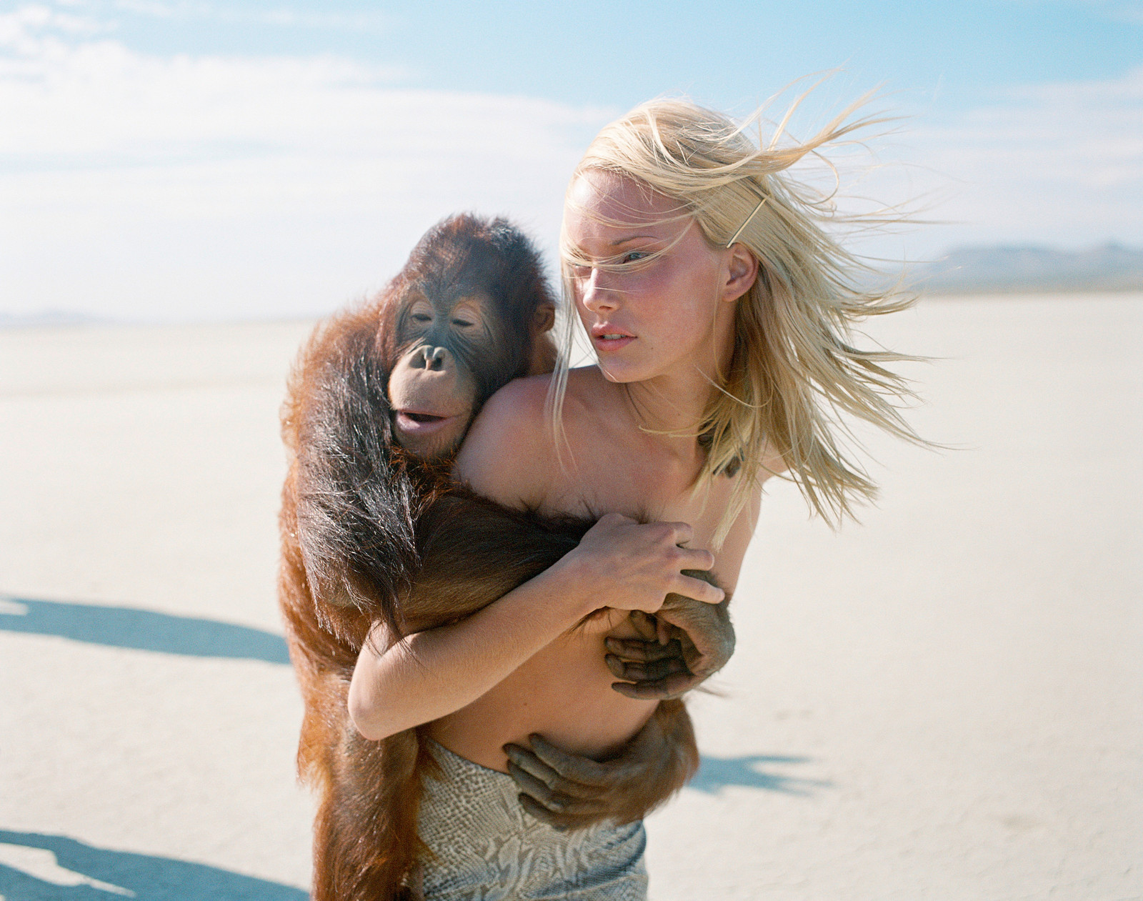 Michel Comte - Beauty and the Beast (Orangutan II), Archival pigment print