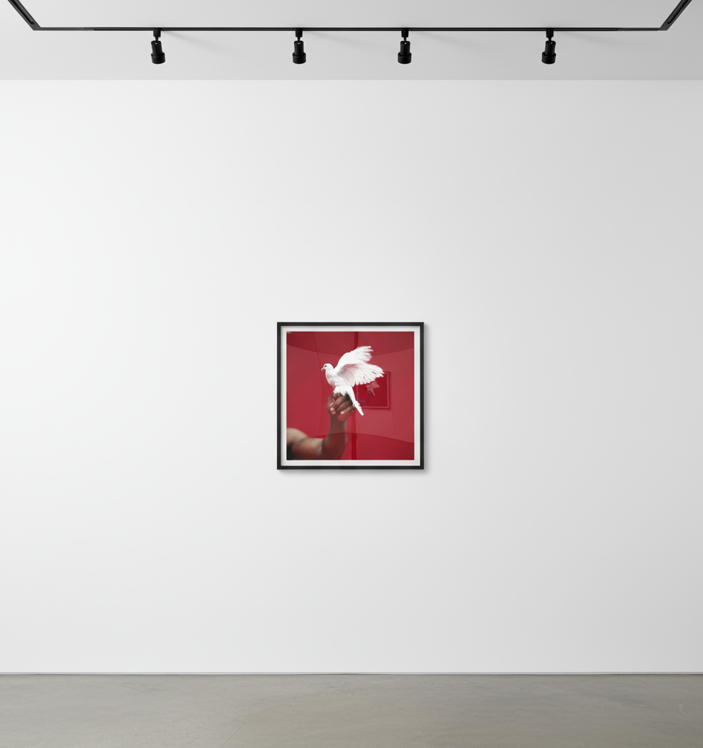 Michel Comte - Mike Tyson (hand), Digital c print