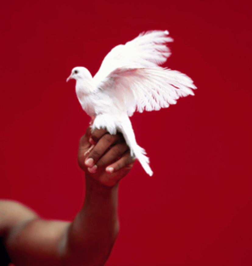 Michel Comte - Mike Tyson (hand), Digital c print