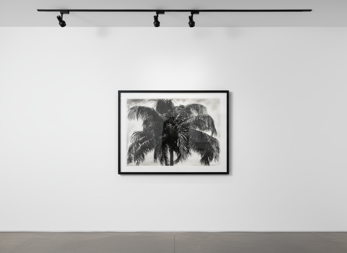 Robert Longo - Study Of P.R. Palm, 2019, Ink and charcoal on vellum