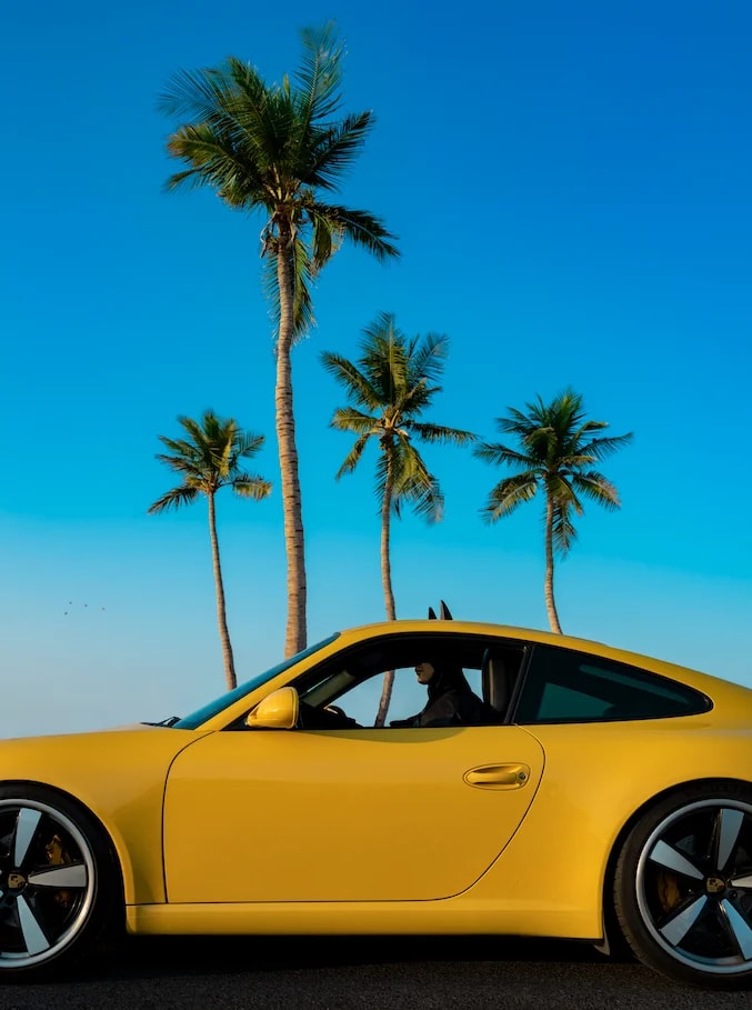 Sebastian Magnani - Daily Bat - Test Drive, 2022, Inkjet Canson Rag Photographique 310g