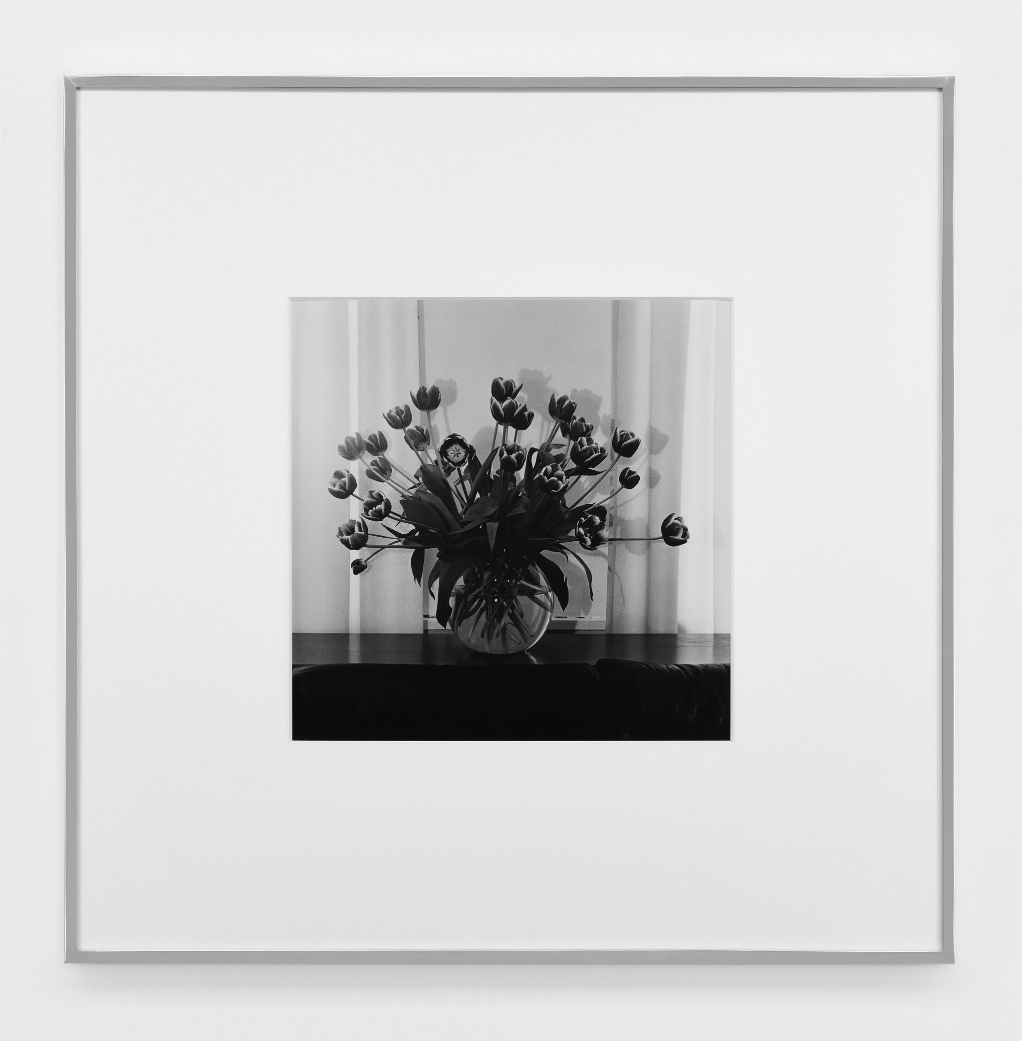 Robert Mapplethorpe - Tulips, 1979, silver gelatin print