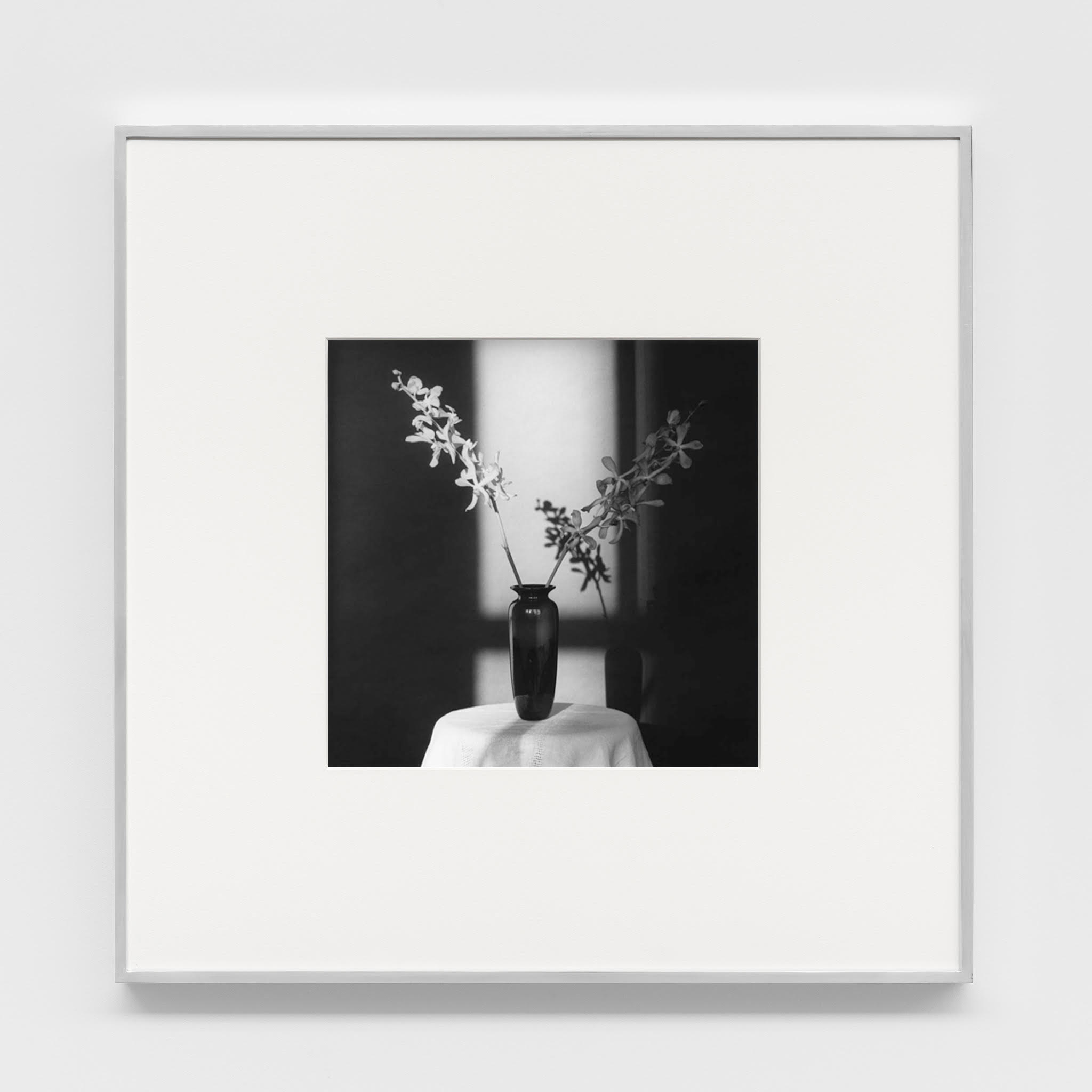 Robert Mapplethorpe - Orchid, 1980, silver gelatin print