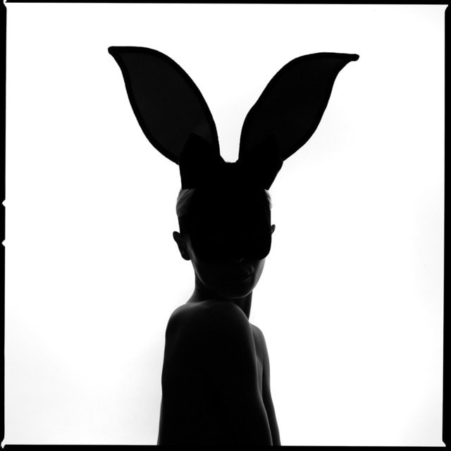 Tyler Shields - Bunny Silhouette, 2020, Digital c print