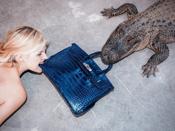 Tyler Shields - Gator Birkin III, 2012, Digital c print