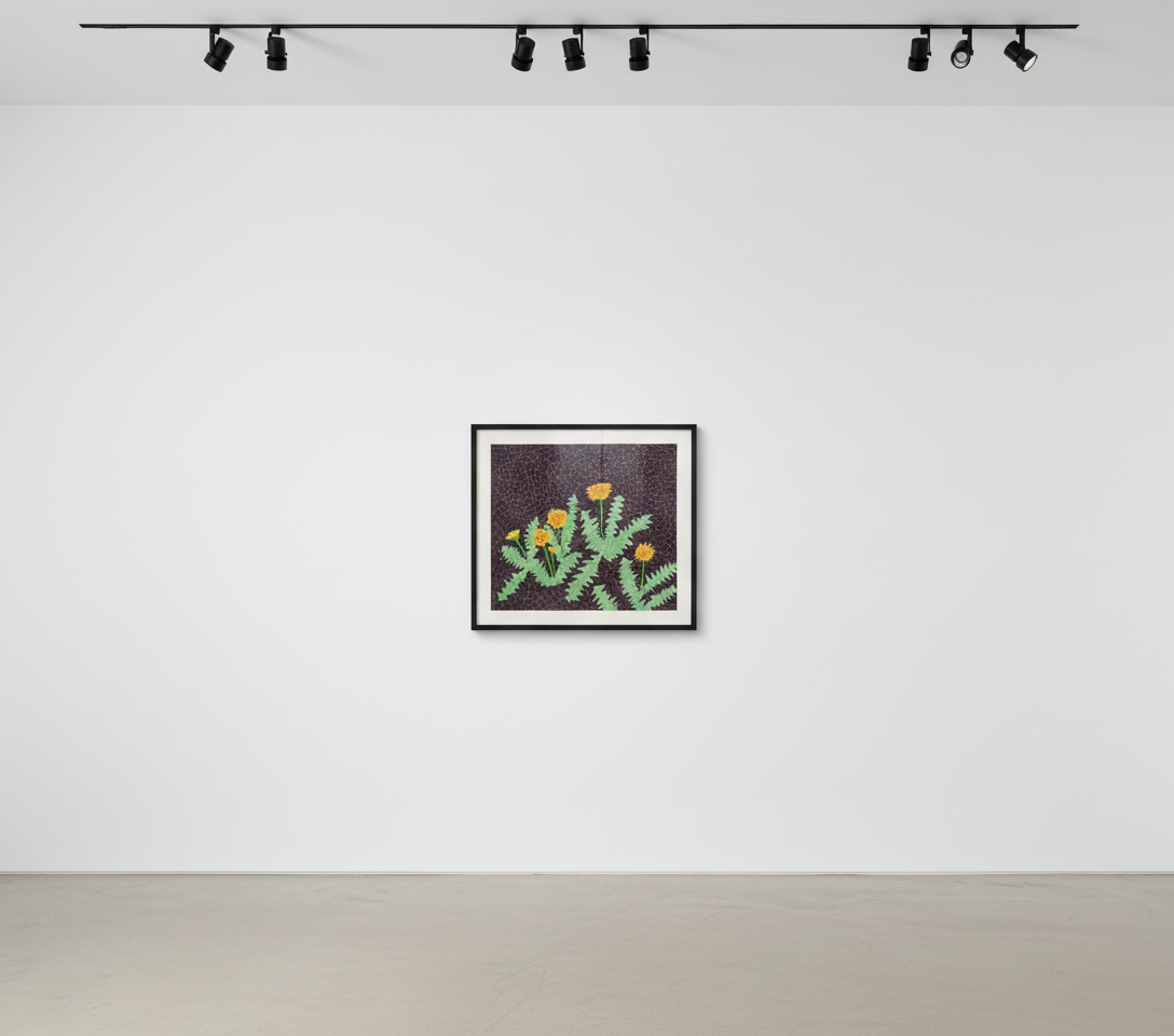 Yayoi Kusama - Dandelions, 1985, Lithograph