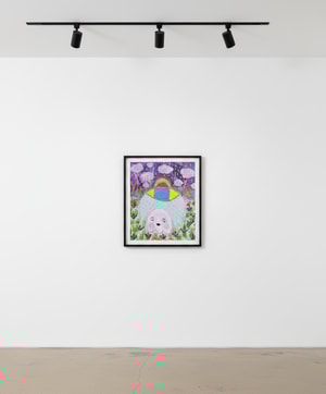 Adam Handler - Ghost Abduction during stranger nights