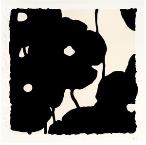 Donald Sultan - Black Poppies, Sept 7