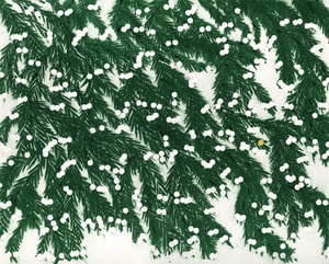 Donald Sultan - Mimosa, April 12