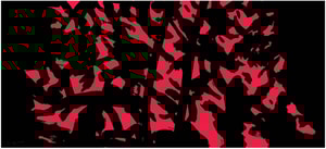 Alex Katz - Twilight