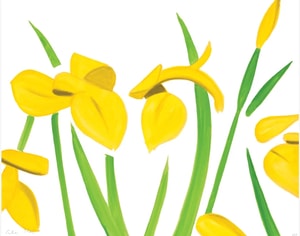 Alex Katz - Yellow Flags on White