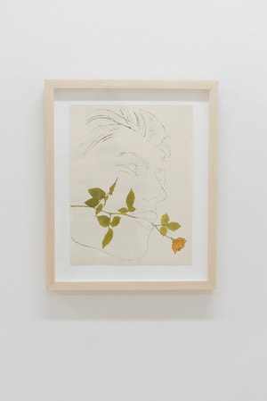 Andy Warhol - A Gold Book , F.S. IV 108