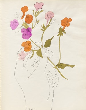 Andy Warhol - A Gold Book , F.S. IV 114