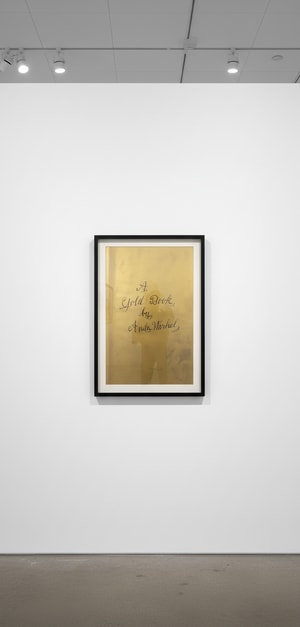 Andy Warhol - A Gold Book