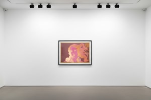 Andy Warhol - Birth of Venus F.S. II 316 - 319