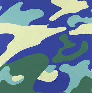 Andy Warhol - Camouflage F.S. II 411