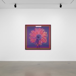 Andy Warhol - Daisy F.S. IIIA 38