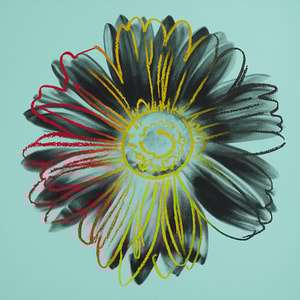 Andy Warhol - Daisy, IIIA.38