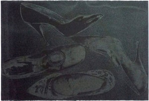 Andy Warhol - Diamond Dust Shoes  Complete Portfolio (F.S. II 248 - 252), (Deluxe Edition)