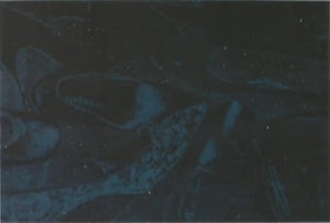 Andy Warhol - Diamond Dust Shoes F.S. II 249 (Deluxe Edition)