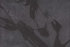 Andy Warhol - Diamond Dust Shoes F.S. II 250 (Deluxe Edition)