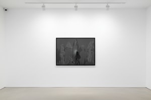 Andy Warhol - Diamond Dust Shoes F.S. II 252, (Deluxe Edition)