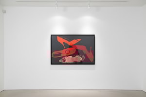 Andy Warhol - Diamond Dust Shoes F.S II 255