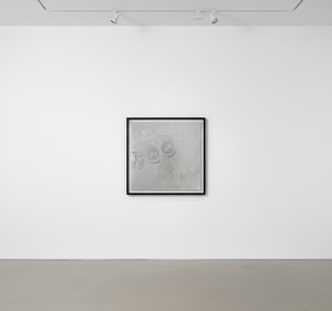 Andy Warhol - Flash - November 22 , 1963 F.S. II 33