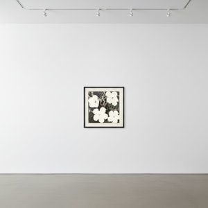 Andy Warhol - Flowers Black & White