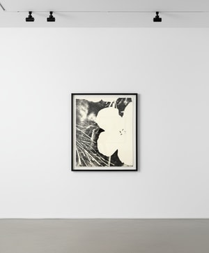 Andy Warhol - Flowers F.S. IIIA 14 (C)